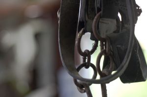 IMG_9471 copy (1).jpg